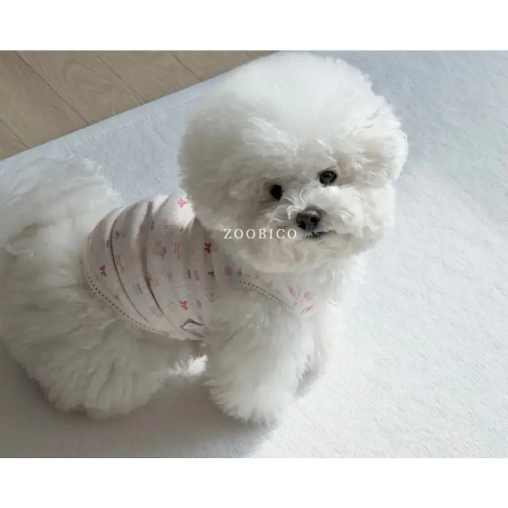 tw-11134207-820la-ml4bfeg6y8zkc1@resize_w900_nl