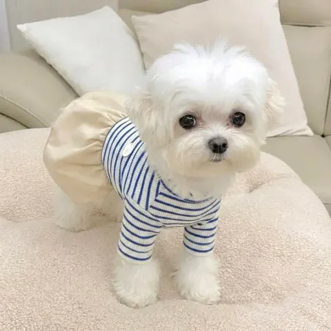 tw-11134207-820l6-mlkhfrd1gcg8b5@resize_w900_nl