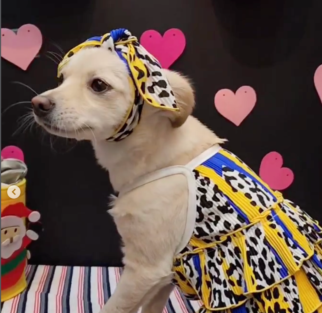截圖 2026-04-22 下午4.08.38