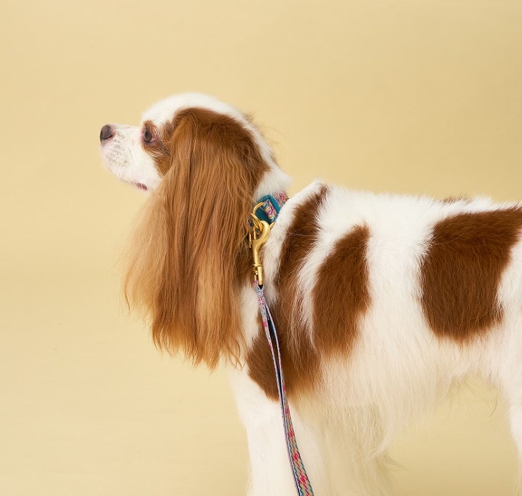 1777526627135