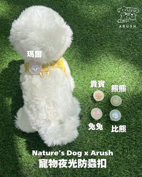 line_oa_chat_260511_151237