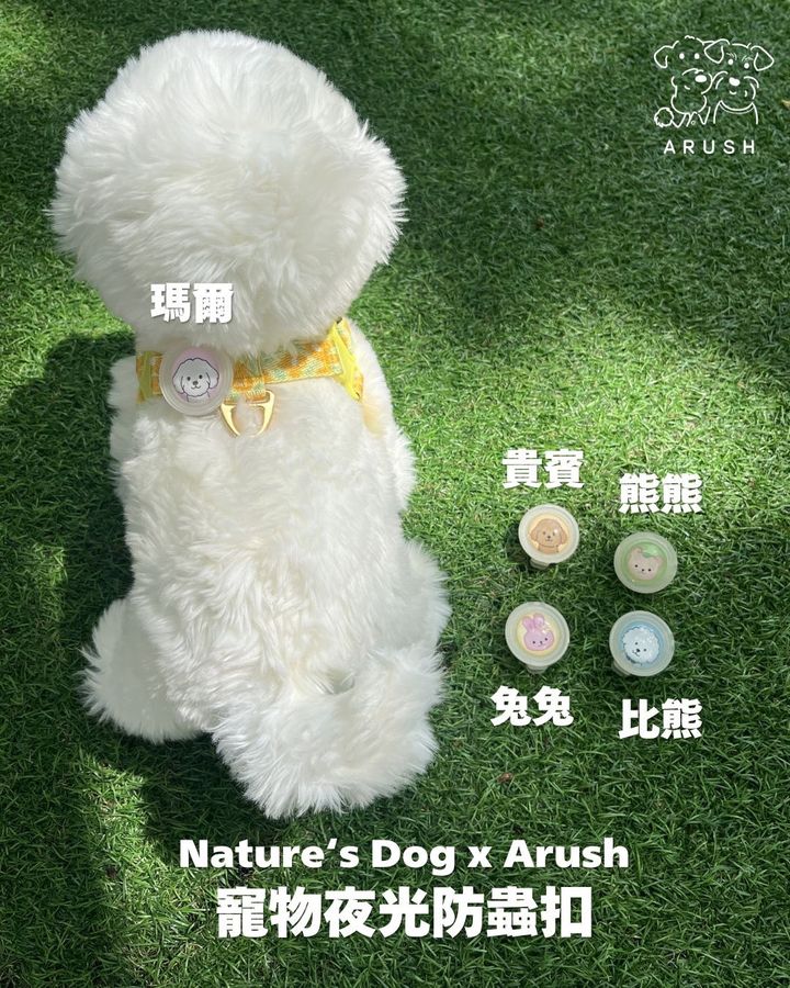 line_oa_chat_260511_151237