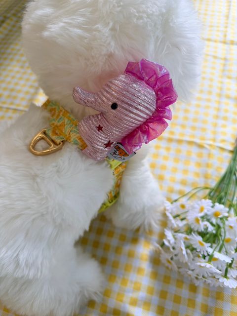 S__49185339_0
