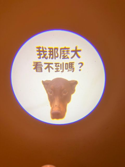 S__53567663_0