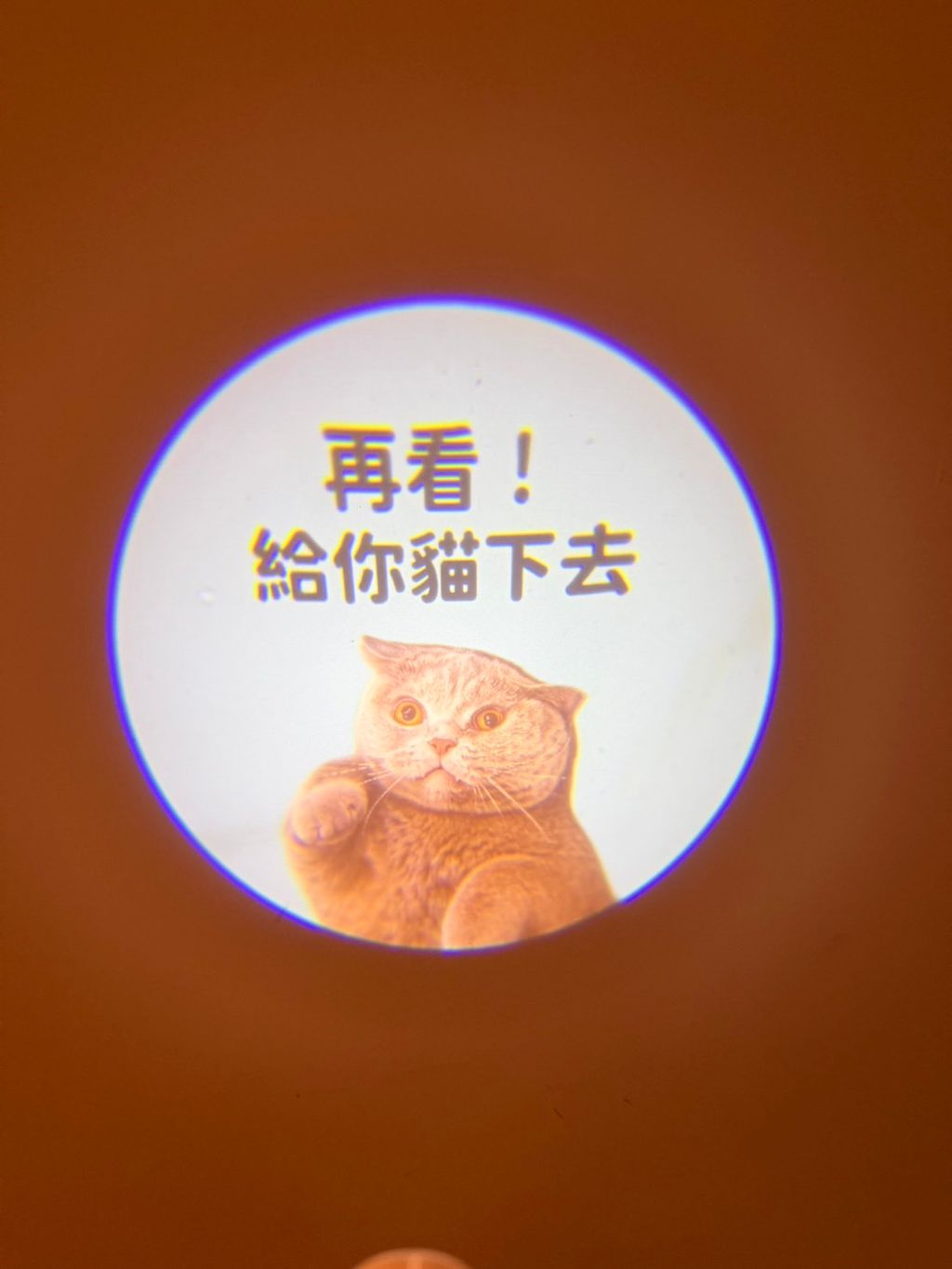 S__53567665_0