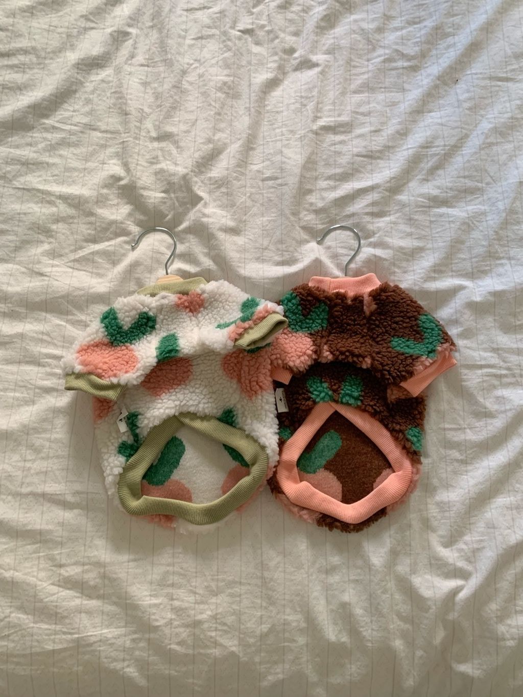 S__55525475_0