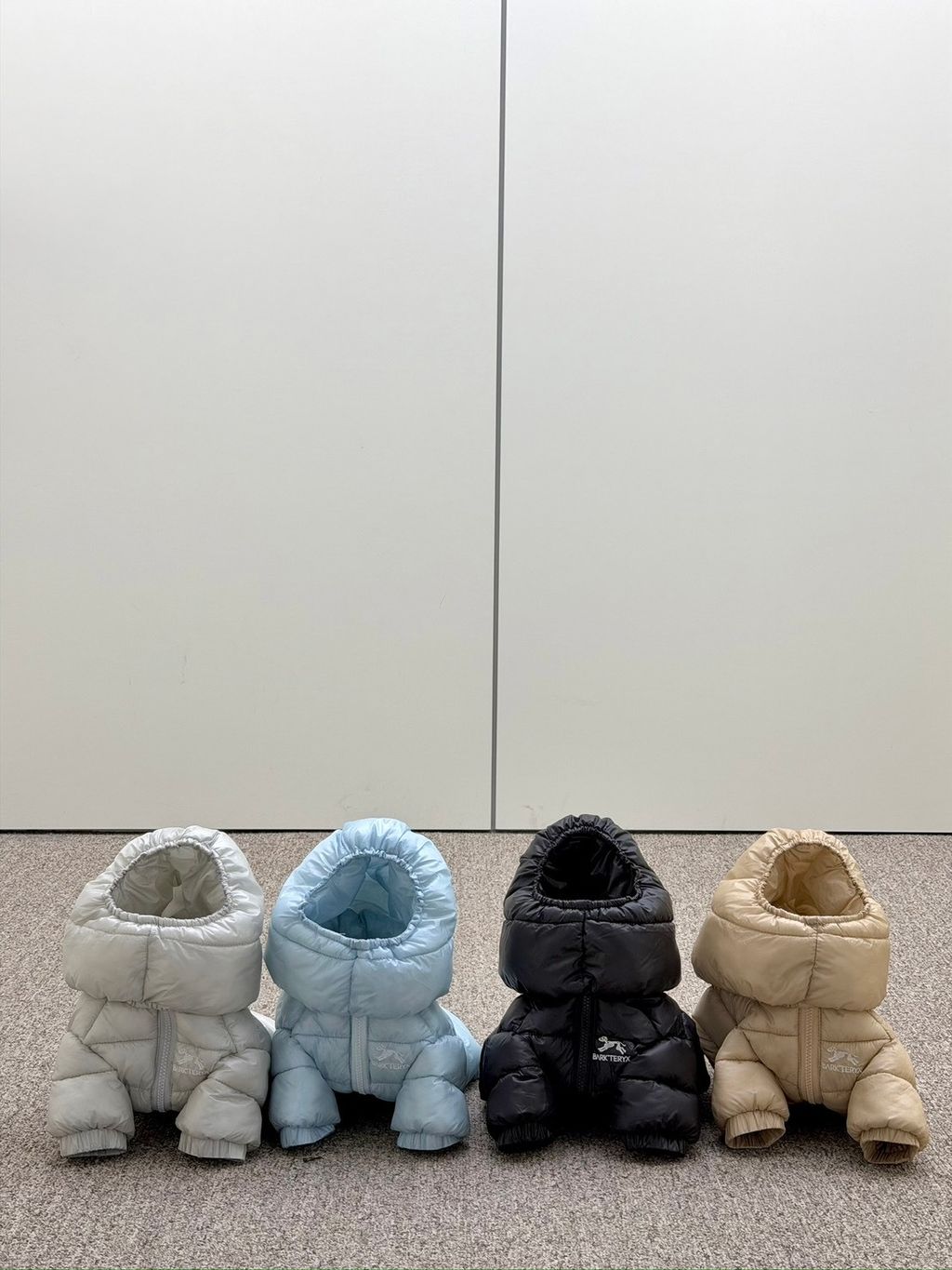 S__55558175_0