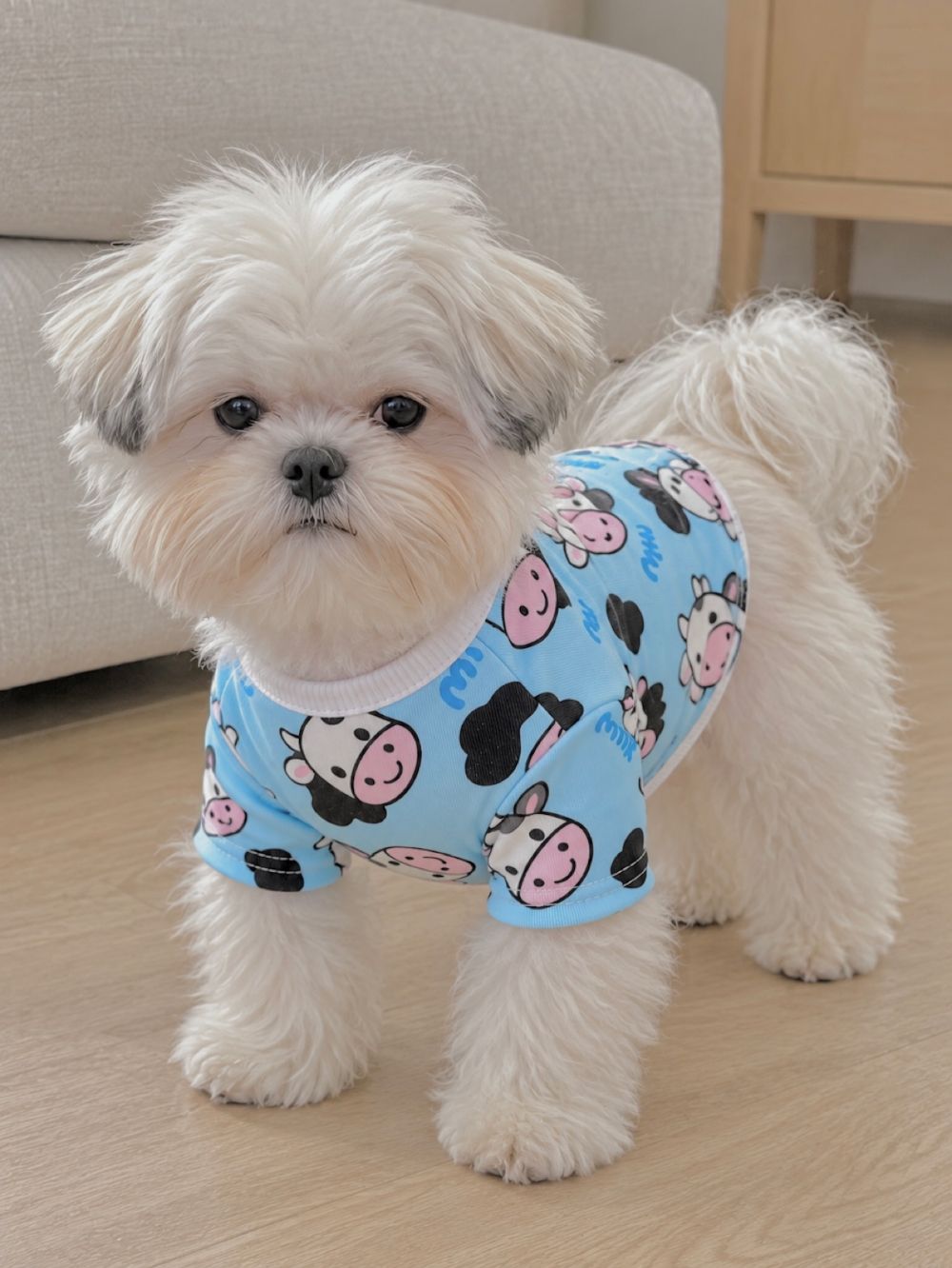 a1db6cc906332047e41d309b1bbca853_0