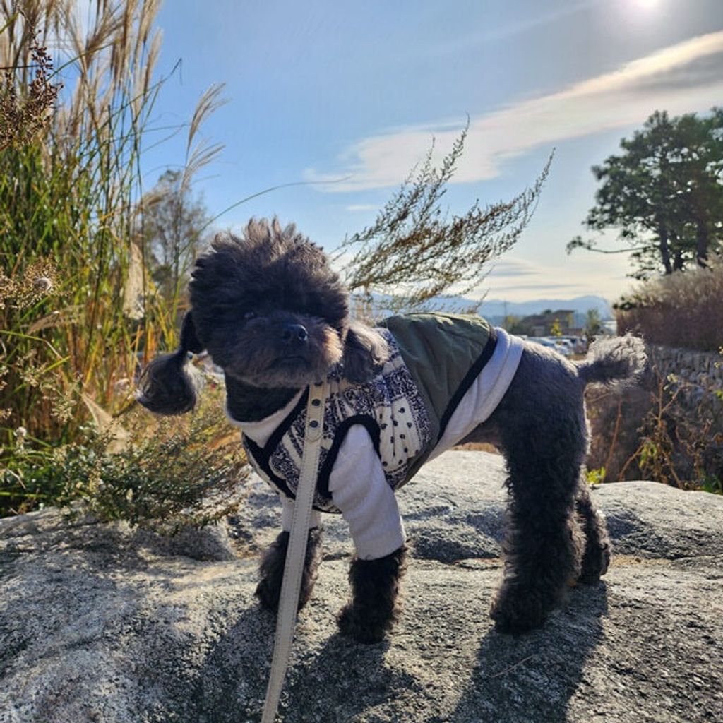 copy-1701521606-20231111_143321