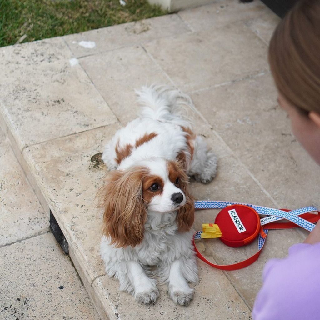 tw-11134207-7r98x-lnxm5ucv0zeh54