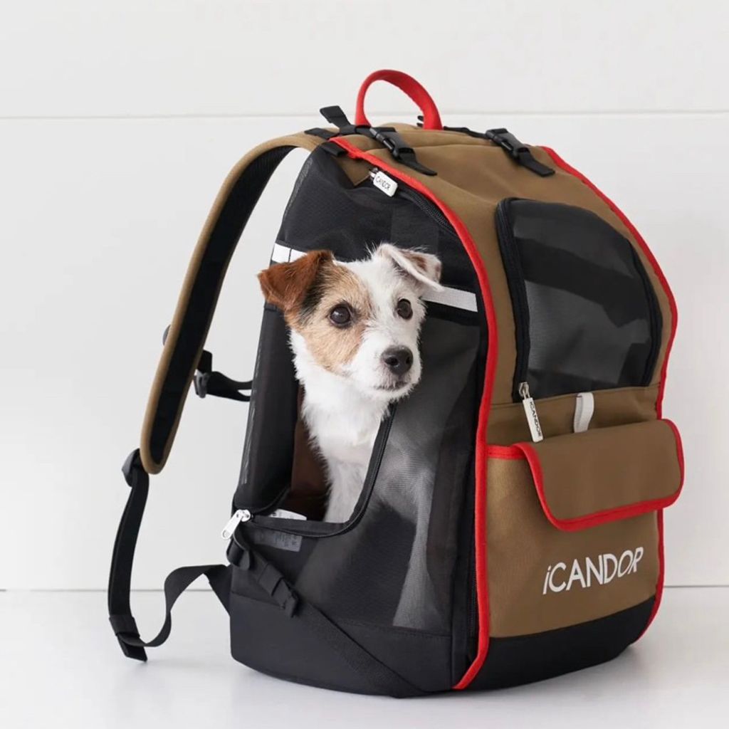 tw-11134207-7r991-lmni8ll2nuzd62