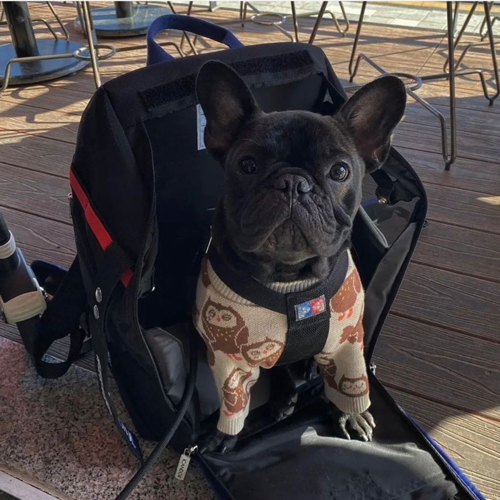 tw-11134207-7r98t-lmni8ll2p9jtbd