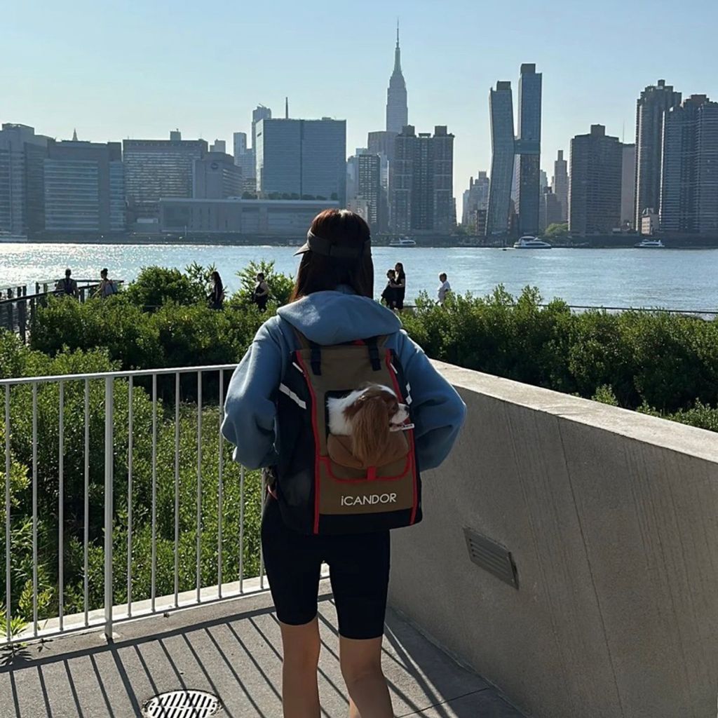 tw-11134207-7r98r-lmni8ll2p9crb1