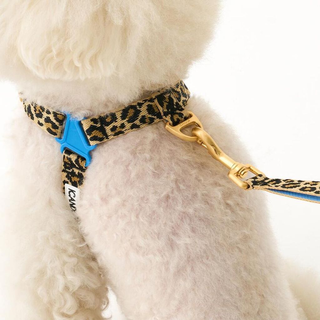 b43686b73dd4ef0e6bb57e6059f129ff