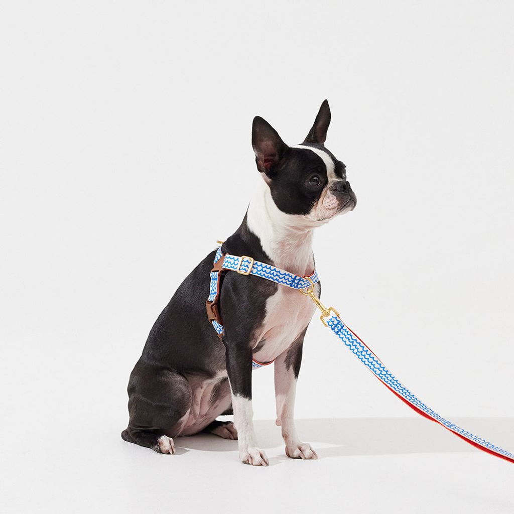 ad662d4311d760bad7903cee5c5b6cbb