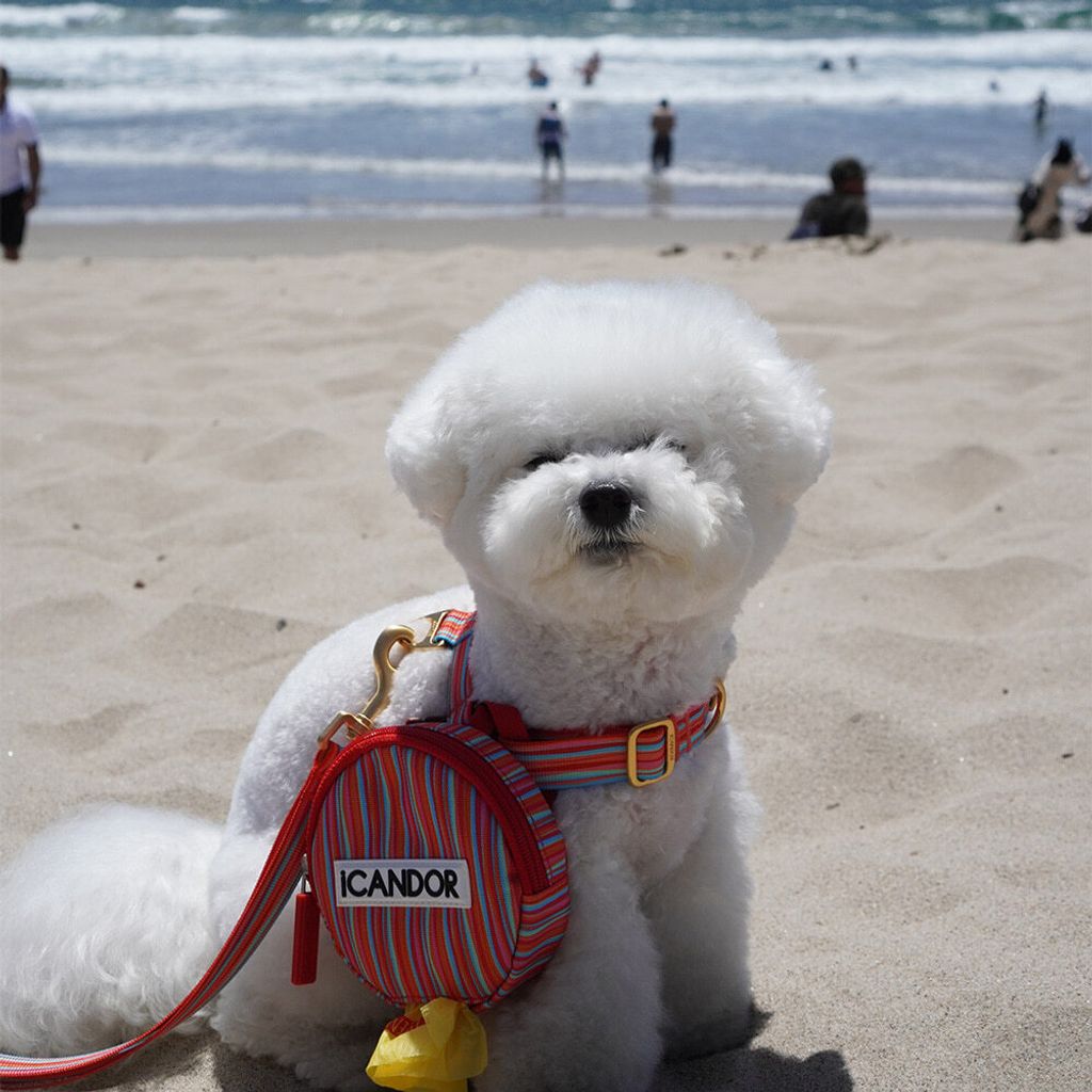 e96270be66103f6761e0ce01ca79b310