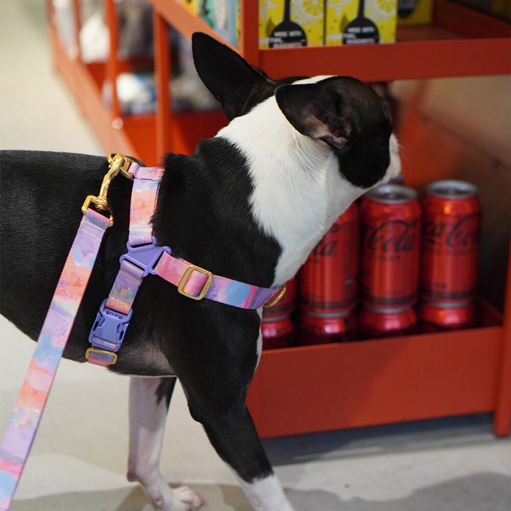 feac729c51f91f0a64b0b8aa43753f77