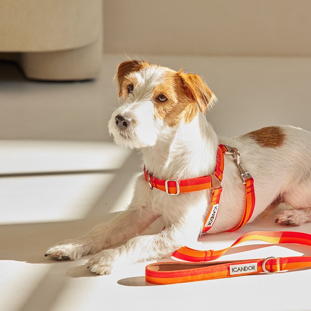 14a366b8981c1ba3de9099319928b7c3