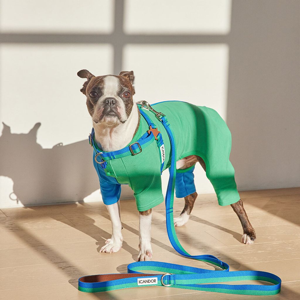 b5692d389cf3694d573f3a0fdb97dc1a