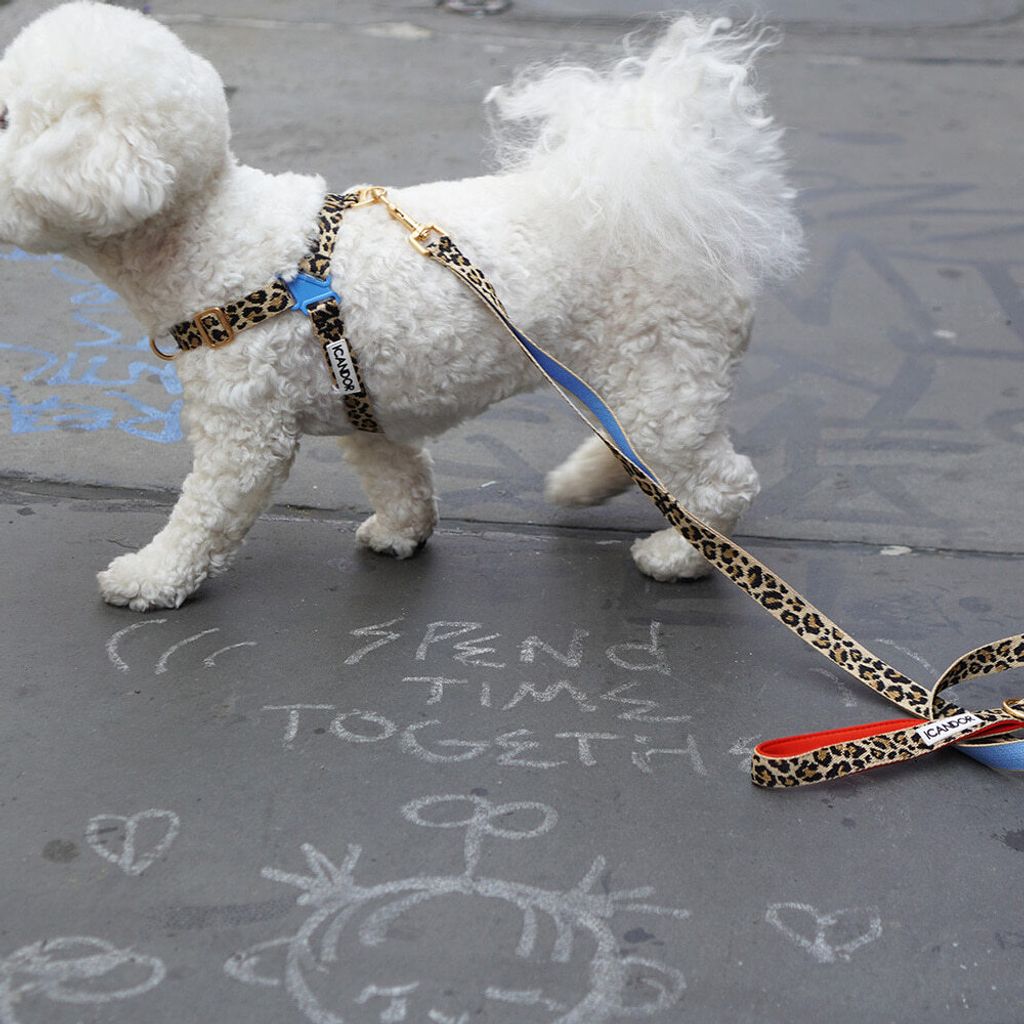 275e86134038051873d7f773c76a8efe