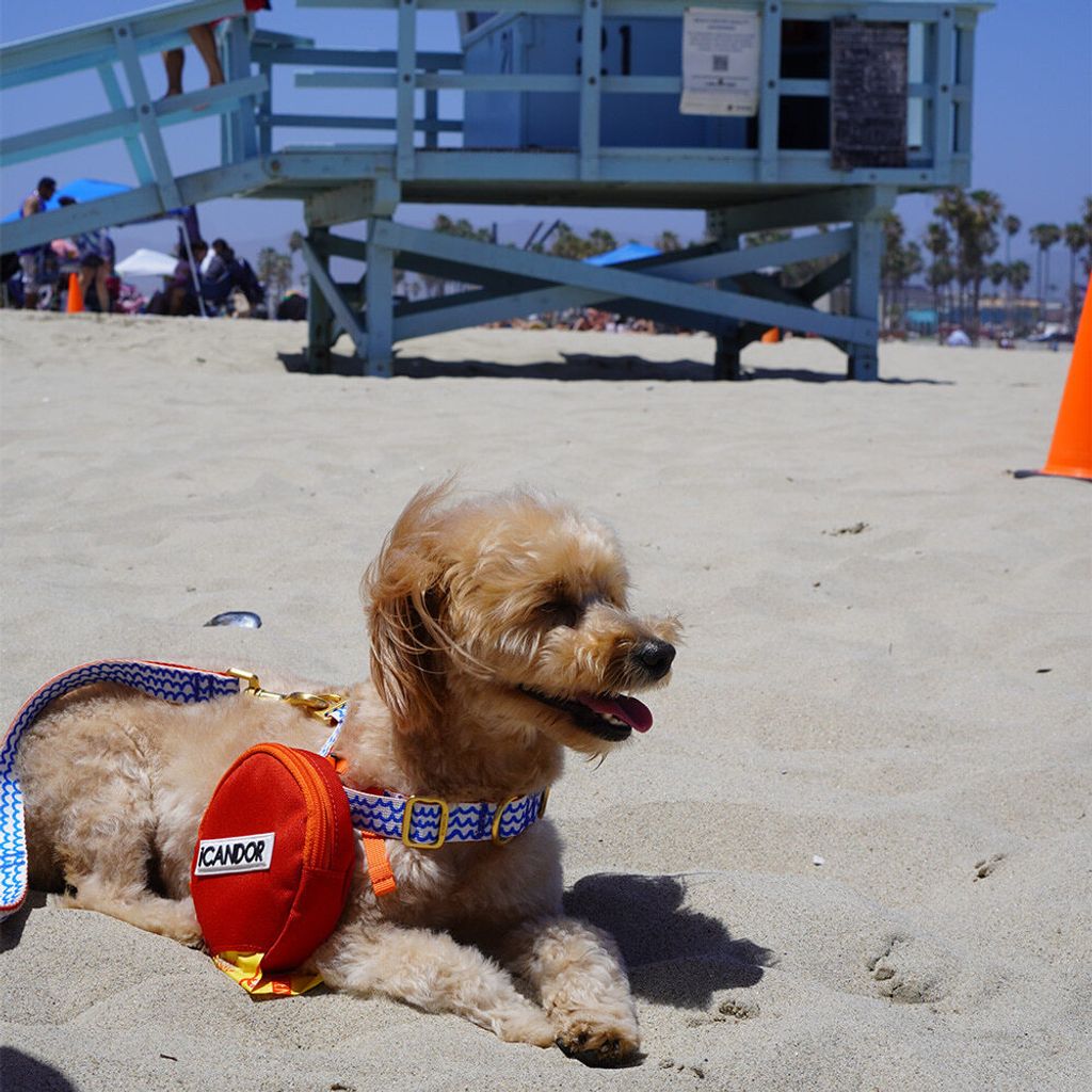 14ee810a1a429841e1bdad282663a69c