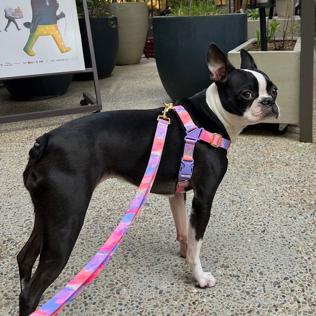 a953182bbe66a0aa49bc8d3022b53a88