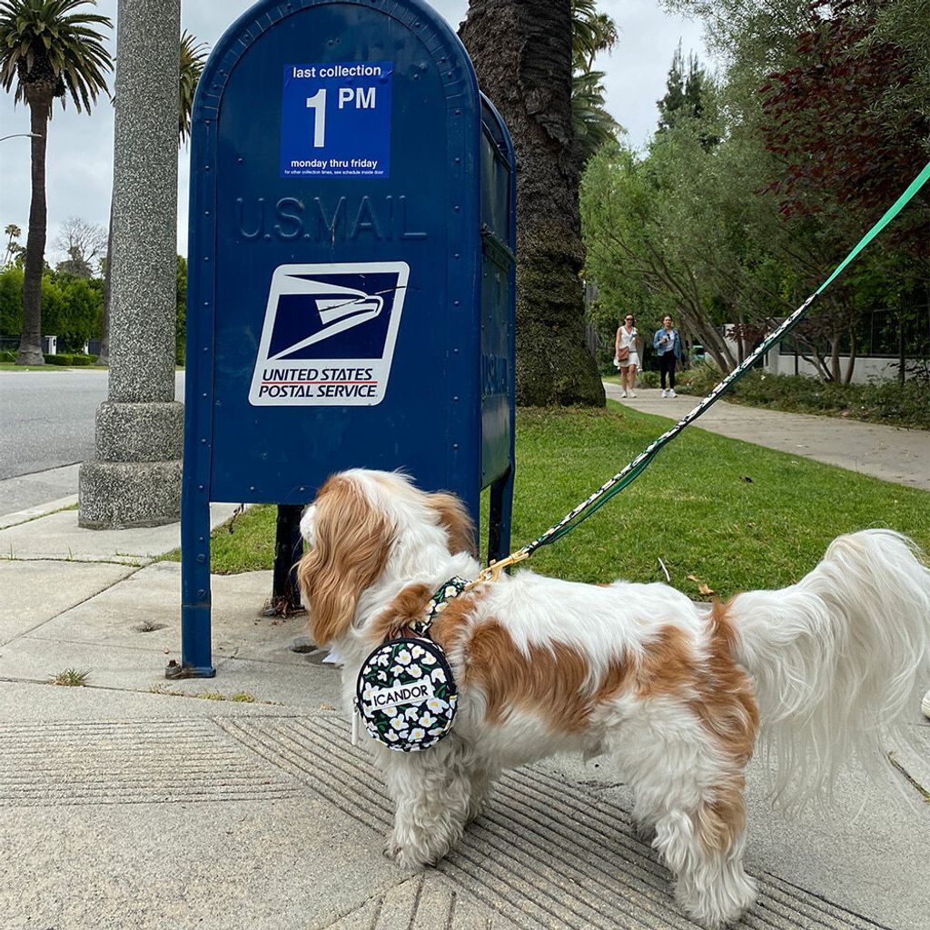 b10cbcb52725de51b00e510cd78fdce1