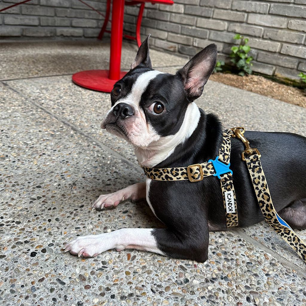 5660507cf8487cce132a50c0a9abfe09