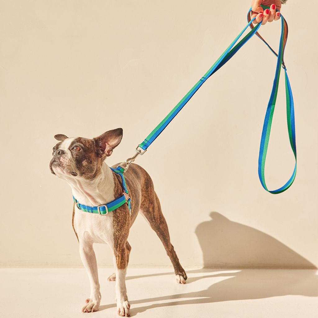 fb5ab07390aa99672938ae4911a5ace8