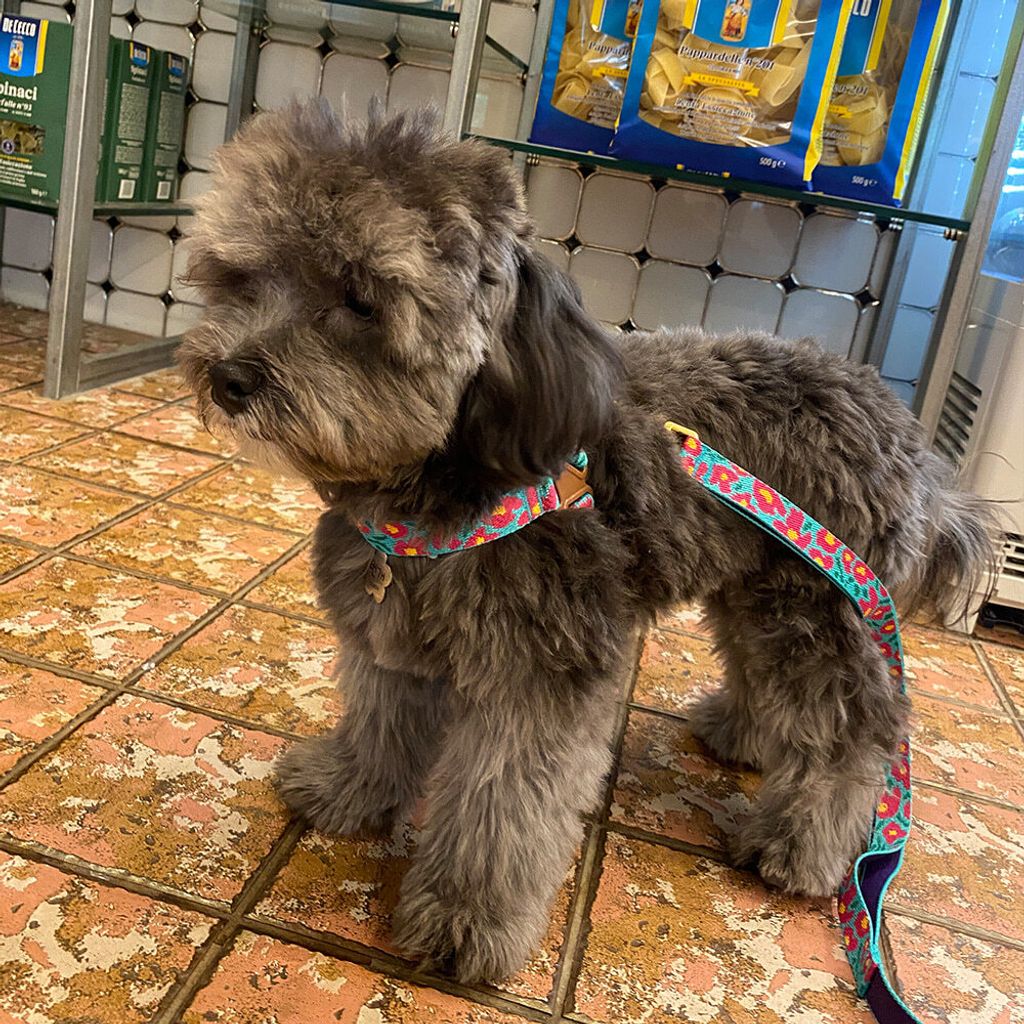 eb394a06d9fde787967f2a634d291b21