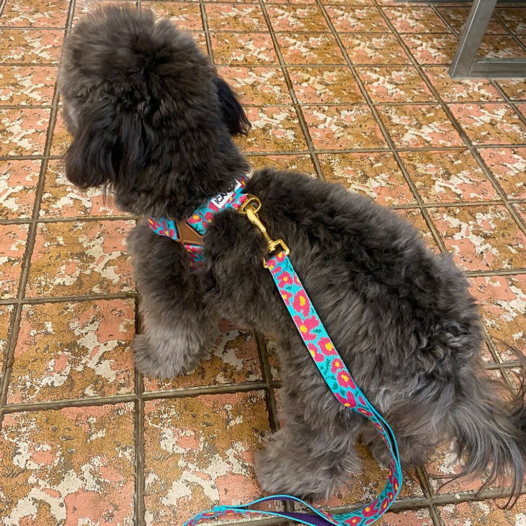 bf617a6106950faf47a76b4c4a58ceb7