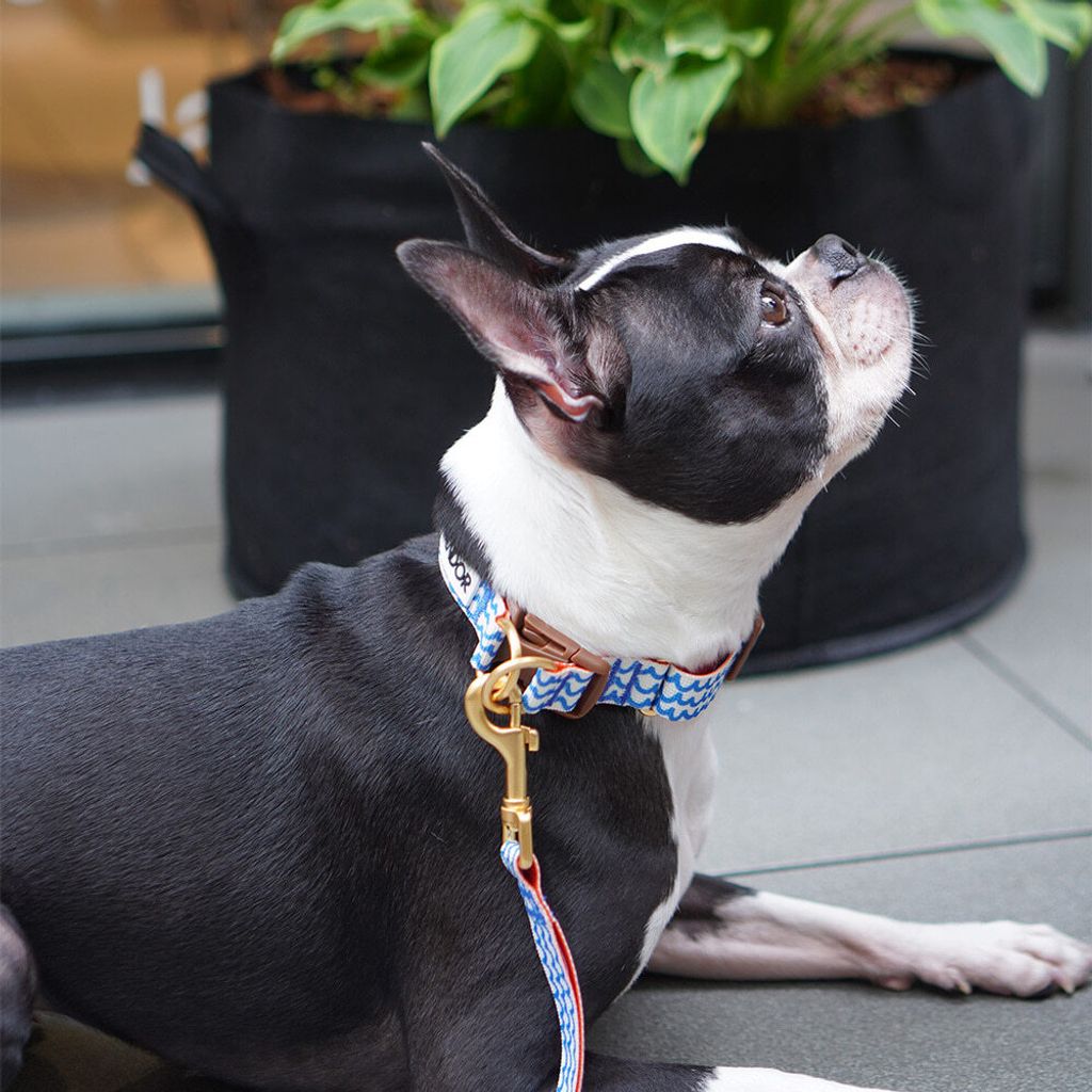 89490211bcaca2520869311e9034e8d1