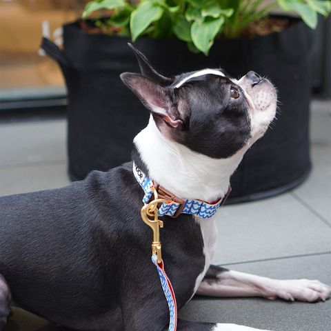 89490211bcaca2520869311e9034e8d1