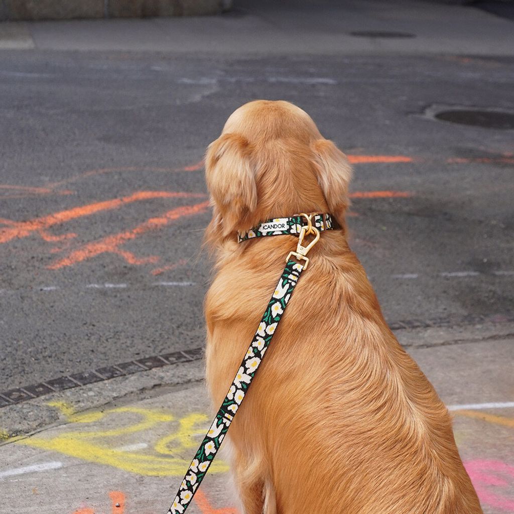 eaea139d56504944a4649c0c3507c5b5