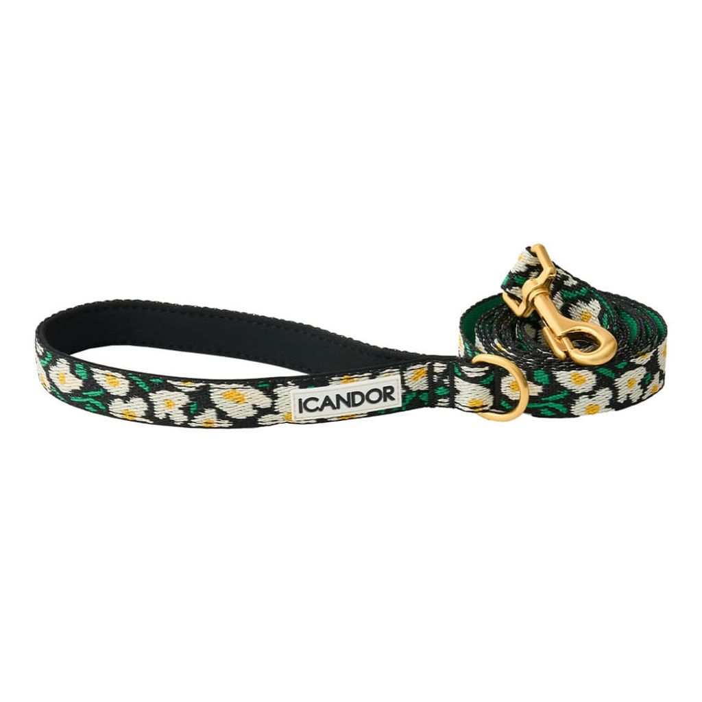 016f79c39a82902f5f3c7ac09ab4dea3