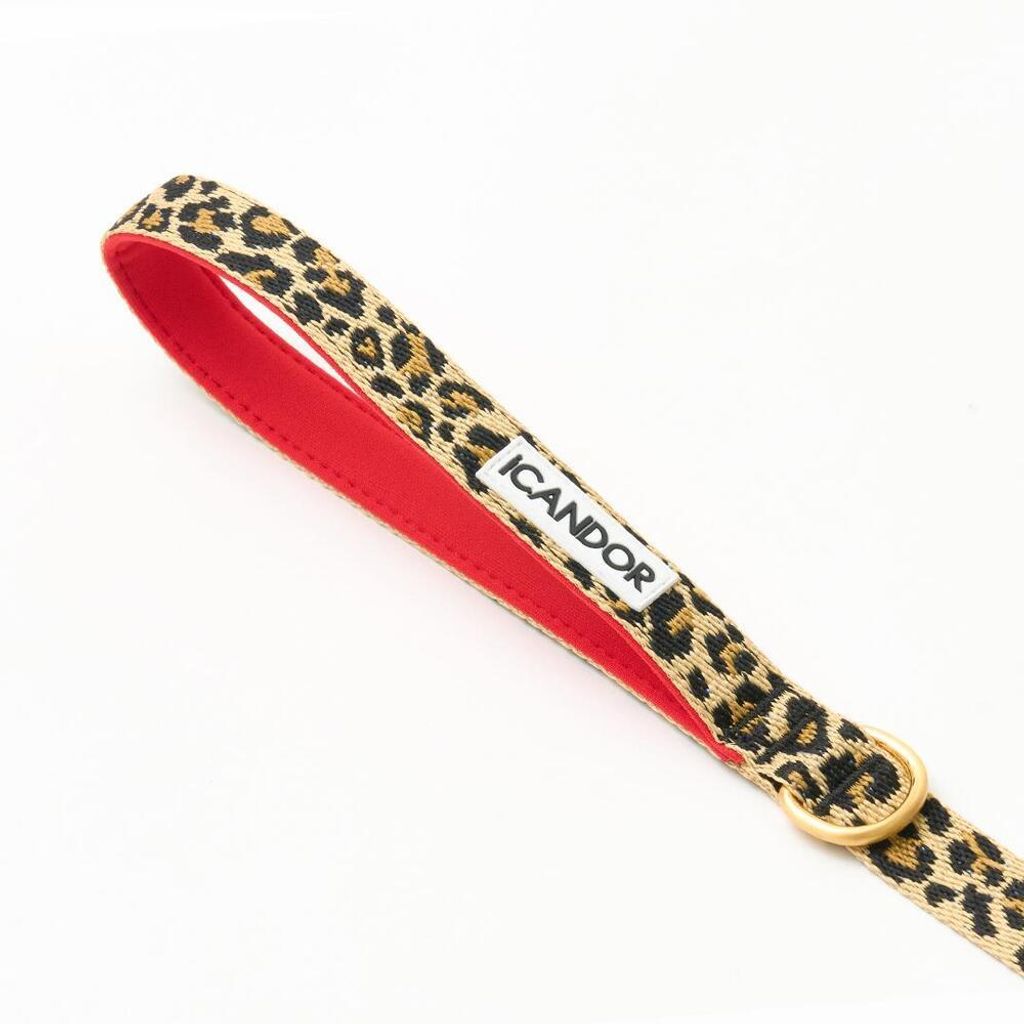 031d65a5301b8e0652e614553d98ced5