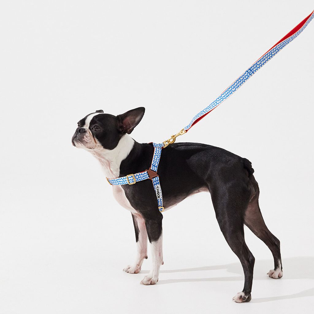 1f8443c9ae3e87d02f7487eb643b1f76