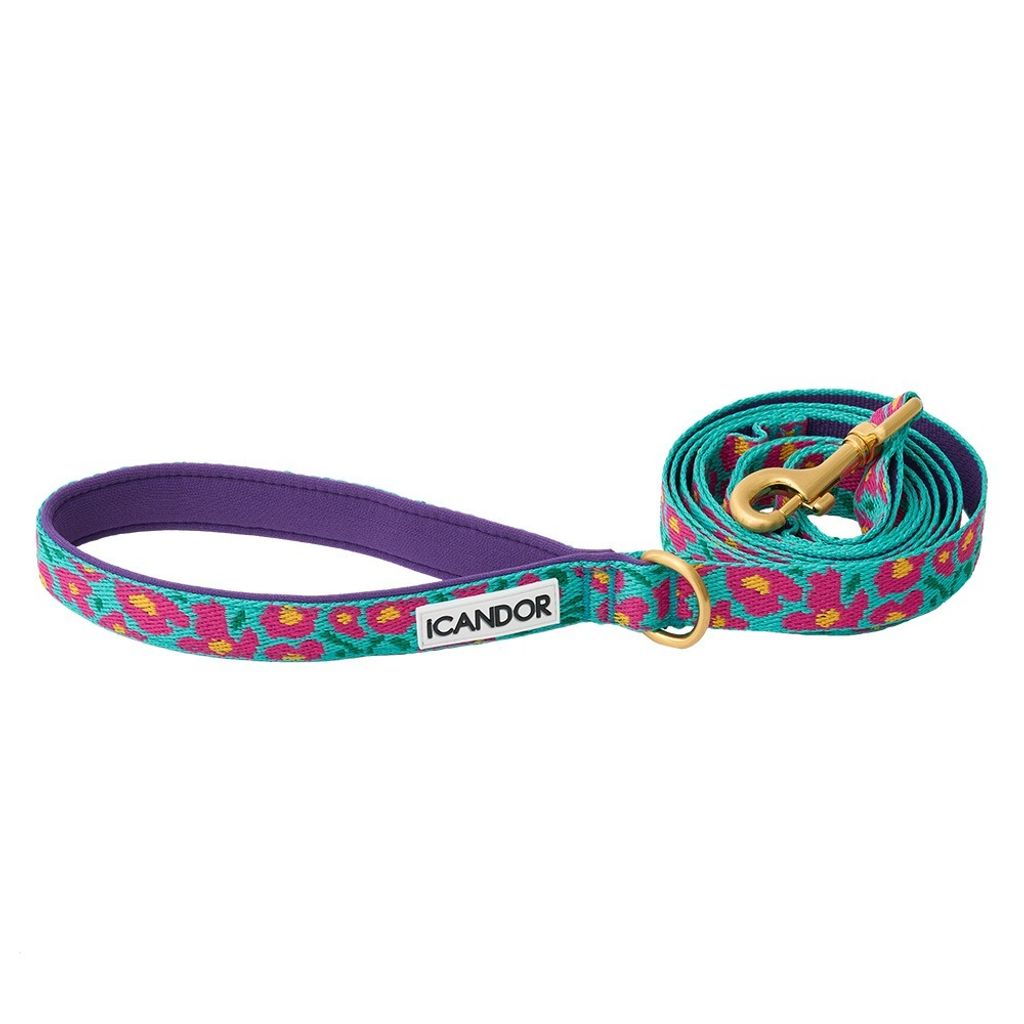 e16685cbb57df9e7f5200032758f1dea