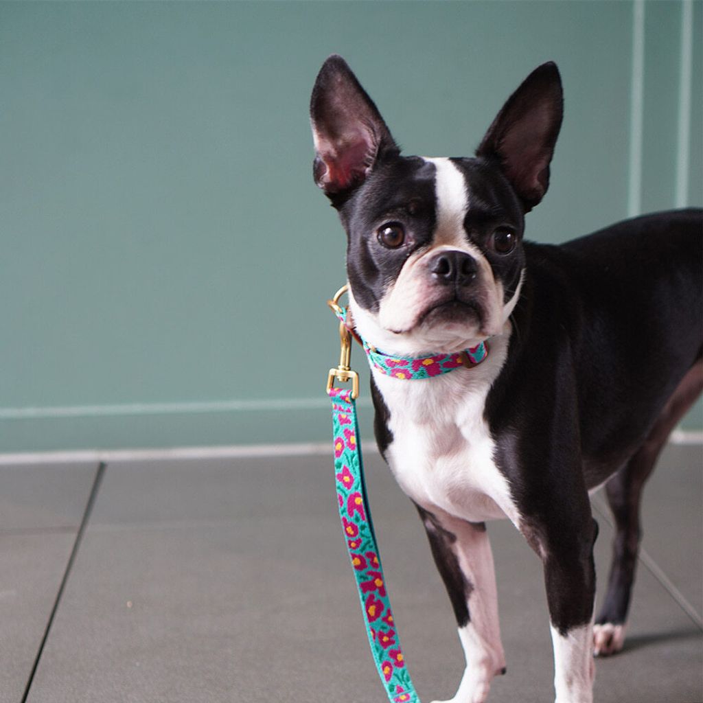 e46a7fe5227db2d0ea9c18055d54b915