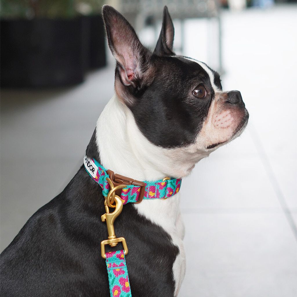 fbb15086eaccd14ff6d7be1969cebfe8