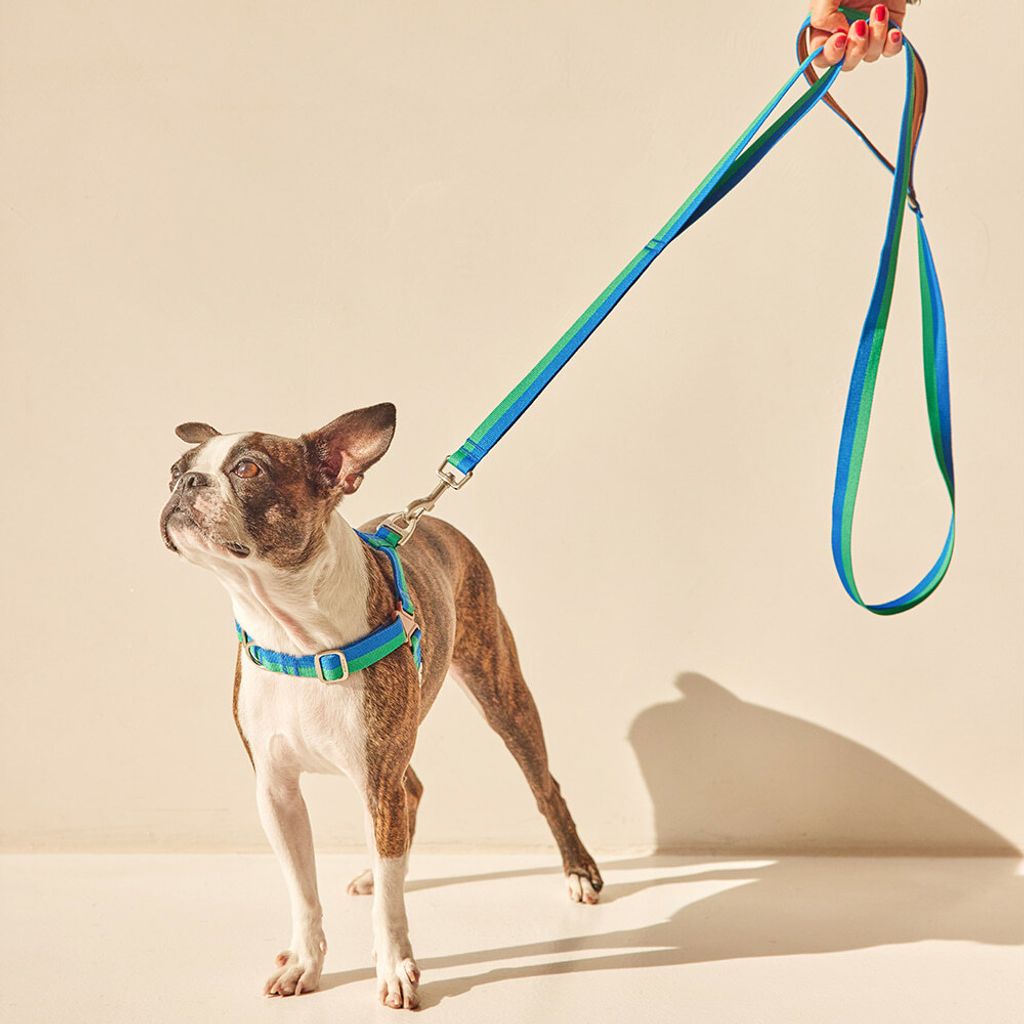 002b0b8b64e67d22a693ba605aa62744