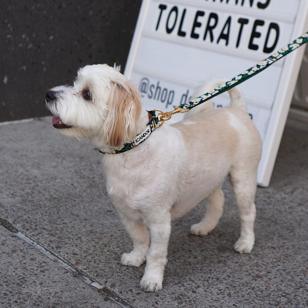 ca2ec9e217d295a23d23da141e029182