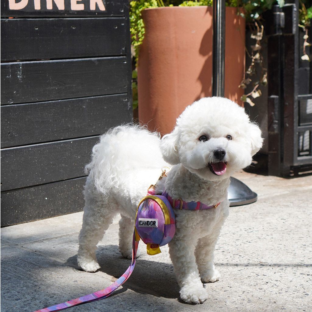 62f30da55b6257910b2cd6fd6a3178e6