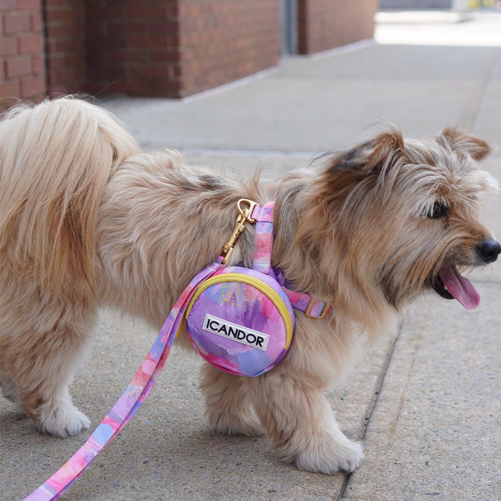 91660ba23d81c9a4c0028e39e561a7c8