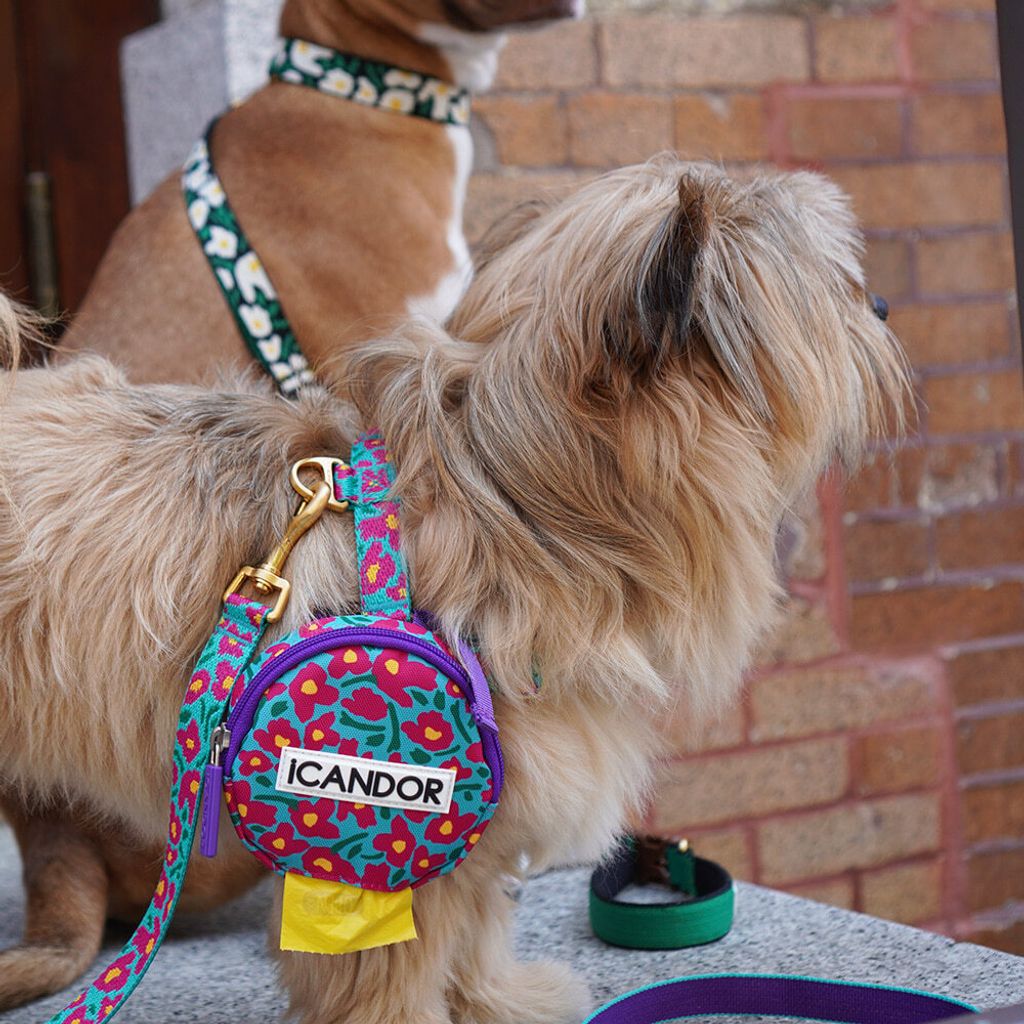 628b053279447d150fdb554c8beec89a