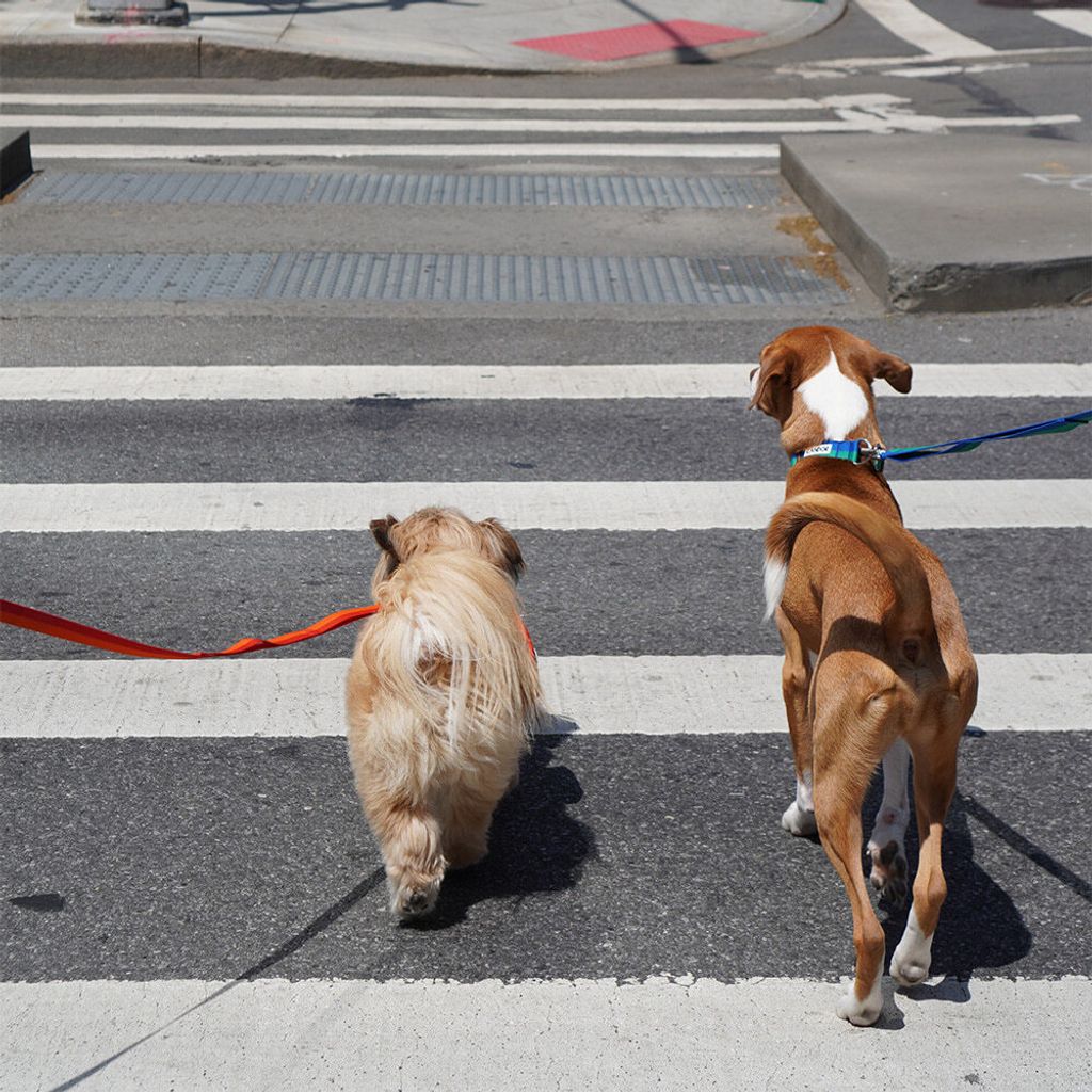 560b9bc1a77875a734f30a0461ab939c