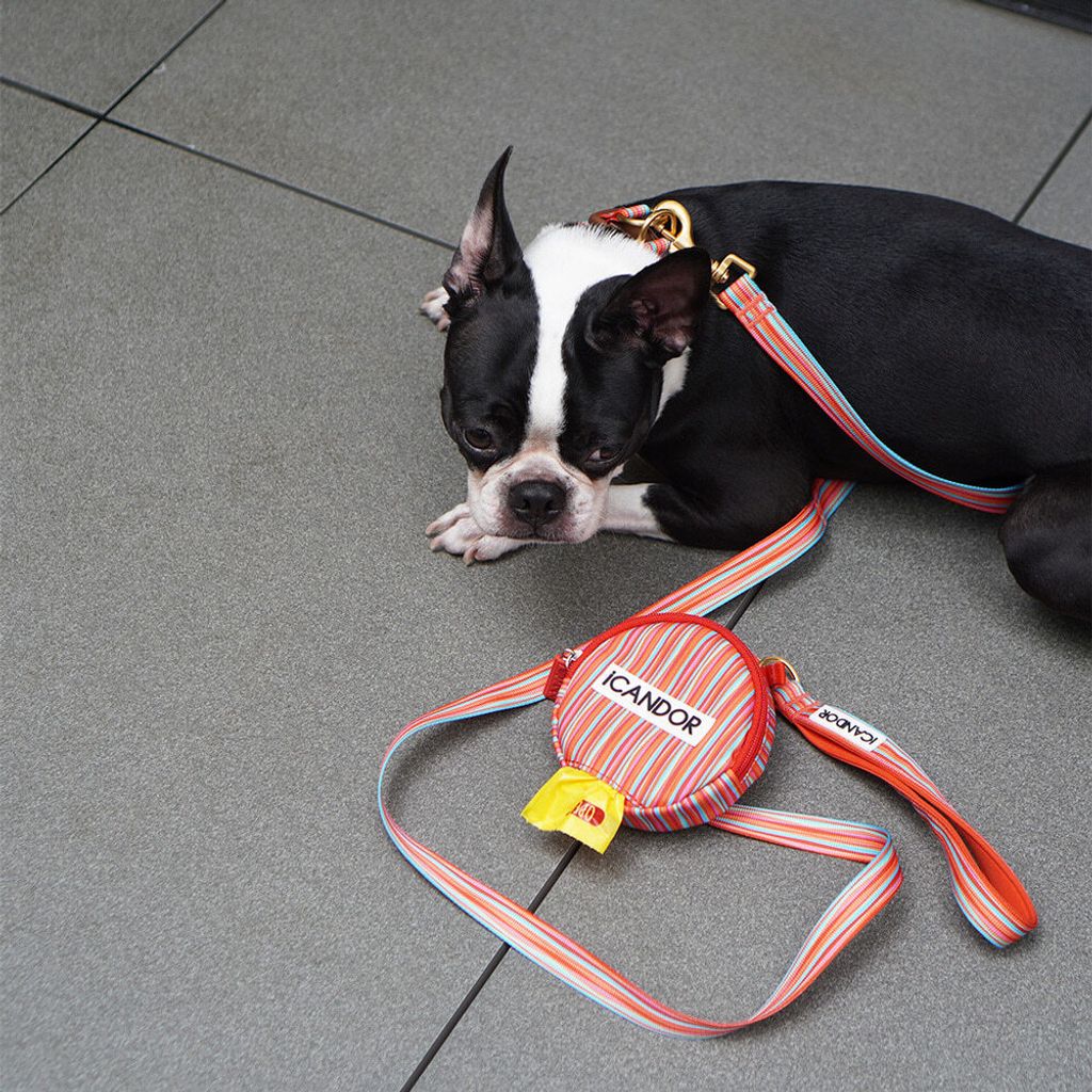 84c11fbe71c66fec38dec6bcd23fe6a7