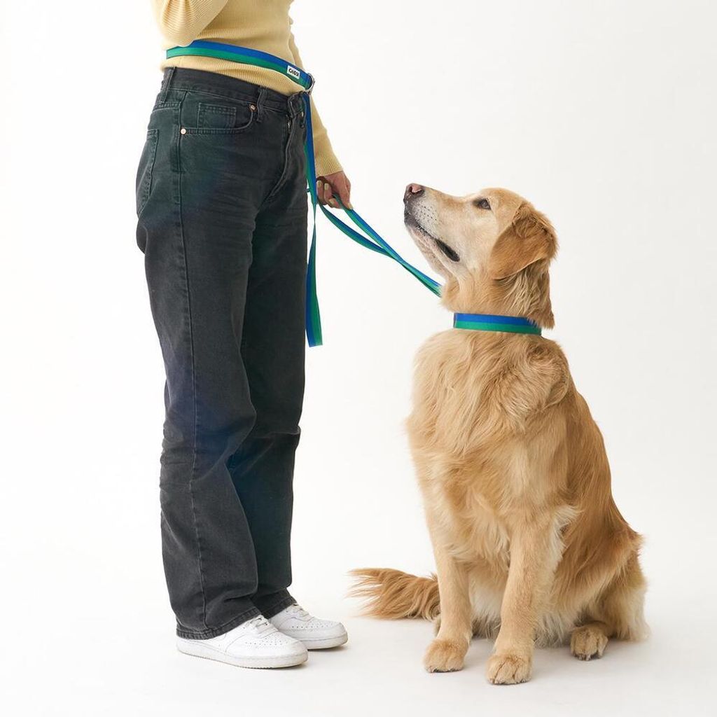 178d6269da72efa804eded217922b551