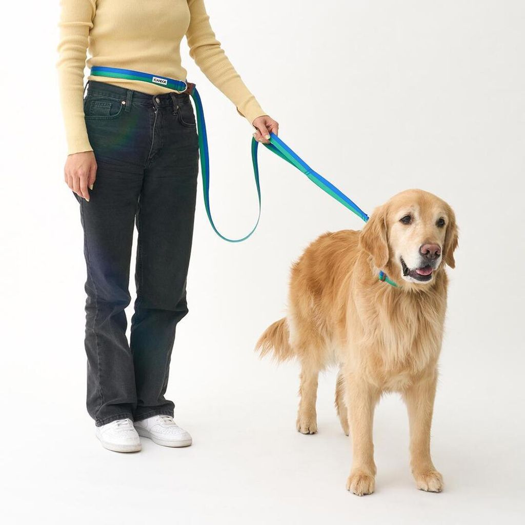 549a9e647577a7b9b16c5da0f6b56405 (1)