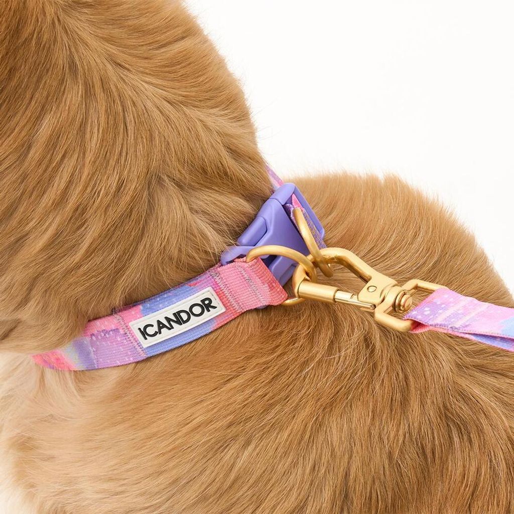 abd74e258149d70c8b7fb3cf2fd00986